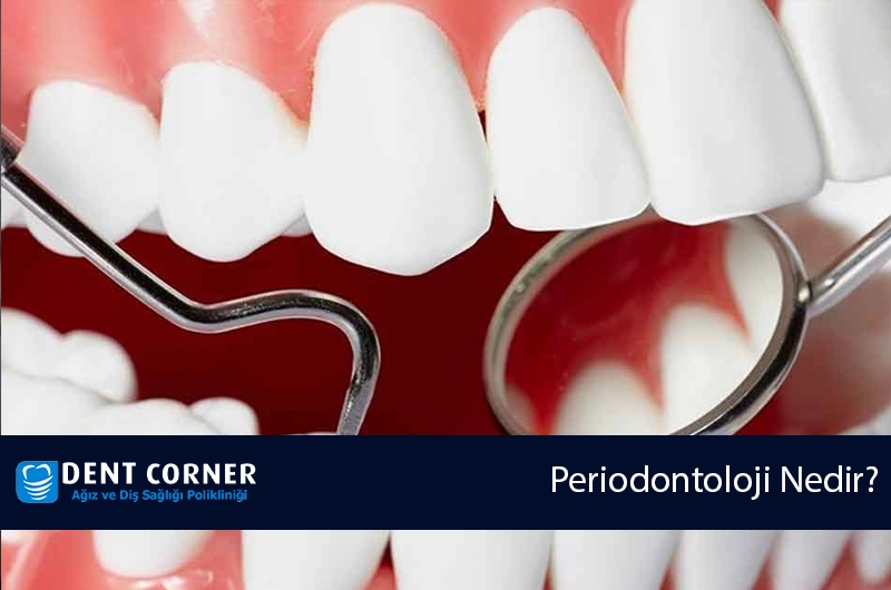 Periodontoloji Nedir?
